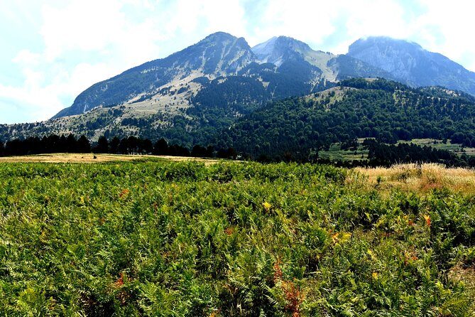 Kayaking in Berat,Tomori Lake & Jeep Safari -ARG - A Complete Look at the Experience