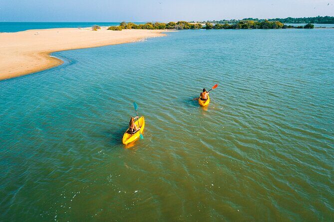 Kayaking in Kalpitiya Lagoon - Detailed Experience Breakdown