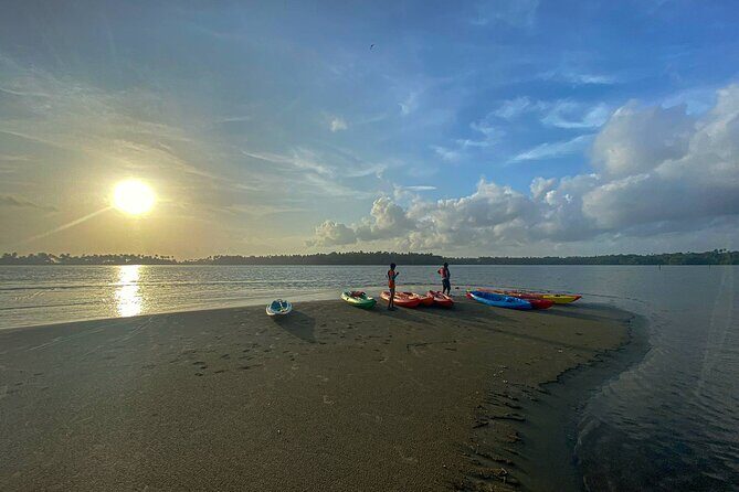Kayaking in Mangrove Forest of Paravur Backwaters near Varkala and Kollam - The Experience Itself: What to Expect
