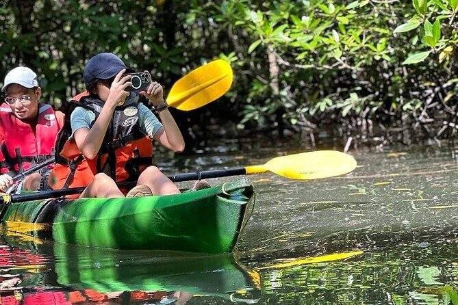 Kayaking Kilim Mangrove Geoforest - The Sum Up