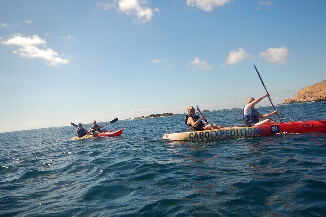 Kayaking & Snorkeling in the Spectacular Waters of Los Cabos - An In-Depth Look at the Tour