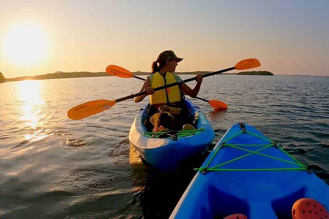 Kayaking the Canals of Venice, FL - A Detailed Look at the Experience
