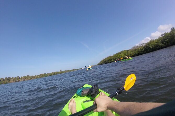 Kayaking the Canals of Venice, FL - Why This Tour Offers Real Value