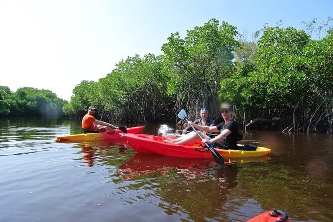Kayaking Through the Kalpitiya Mangroves - An In-Depth Look at the Kayaking Through the Kalpitiya Mangroves Tour