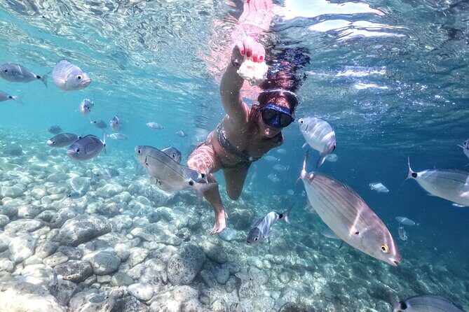 Kayaking to Island Saint Jerolim with snorkeling activitie - FAQ