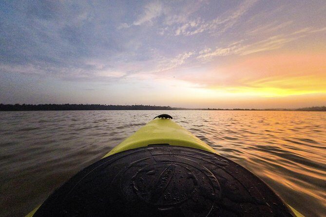 Kayaking to the Black Devil Snail Sandbar Island in Paravur Lake near Varkala - Final Thoughts