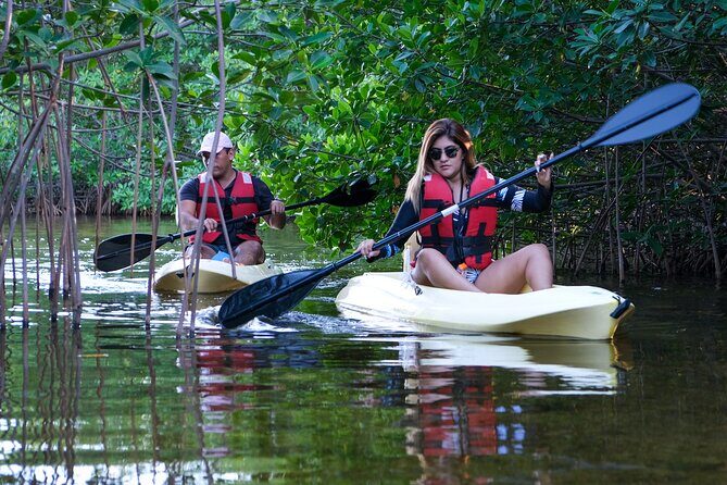 Kayaking Tour in Cancun - Who Will Love This Tour?