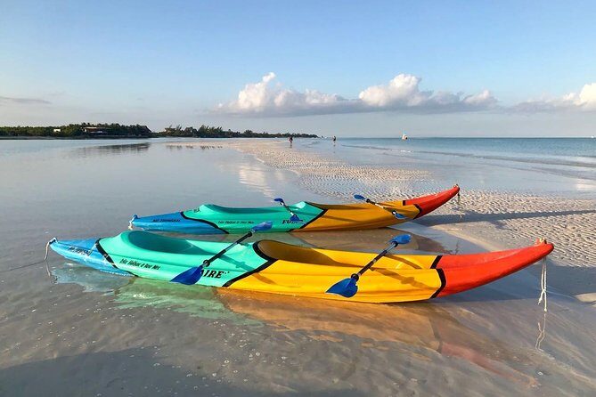 Kayaking Tour Through the Mangroves in Isla Holbox - A Detailed Look at the Kayaking Experience in Isla Holbox
