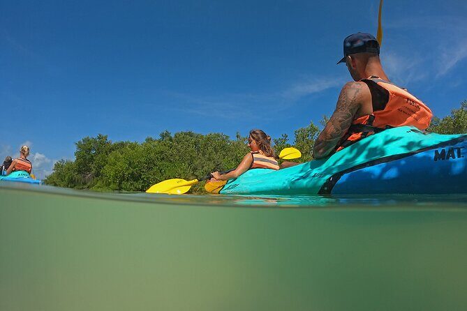 Kayaking Tour Through the Mangroves in Isla Holbox - FAQ