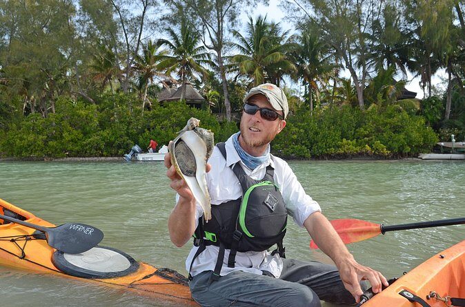 Kayaking with coastal wildlife in Sarasota Bay - FAQ