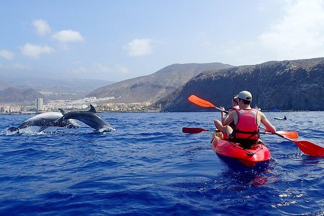 Kayaking with Dolphins and Turtles and Snorkelling in Tenerife - An In-Depth Look at the Experience