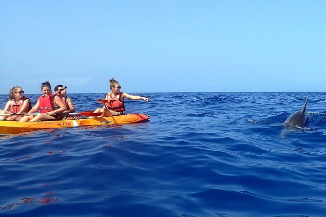 Kayaking with Dolphins and Turtles and Snorkelling in Tenerife - Final Verdict