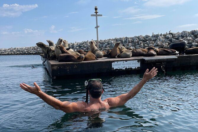Kayaking with Sea Lions in a Calm Beautiful Harbor - A Deep Dive into the Experience