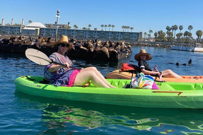 Kayaking with Sea Lions in a Calm Beautiful Harbor - Who Should Consider This Tour?