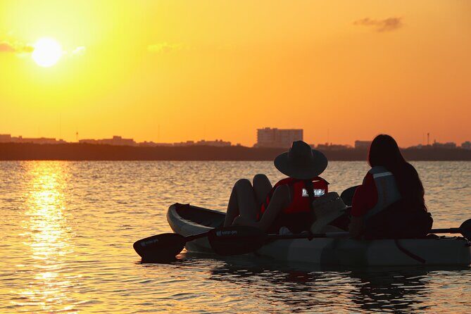 Kayaks at the Mangroves Lagoon Ecosystem from Cancun - Who Should Consider This Tour?