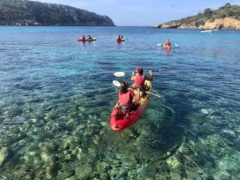 Kayak&Snorkel Tour - The Secret of the Posidonia - Key Points