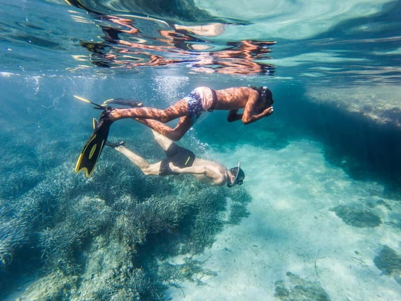 Kayak&Snorkel Tour - The Secret of the Posidonia - Final Thoughts: Who Should Consider This Tour?