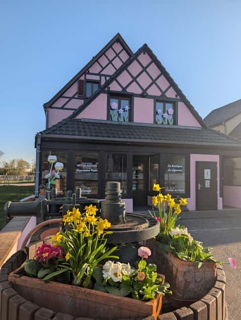 Kaysersberg Vineyard Discovery of the vineyard and wine, Domaine Meyer-Krumb - The Experience: What You Can Expect