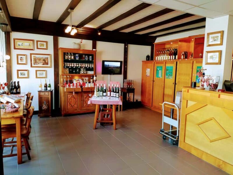 Kaysersberg Vineyard Discovery of the vineyard and wine, Domaine Meyer-Krumb - The Sum Up