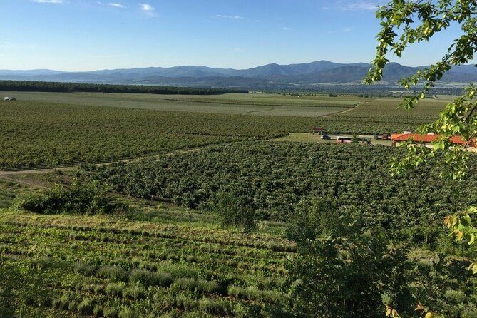 Kazanlak Full-Day Tour from Sofia - Who Should Consider This Tour?