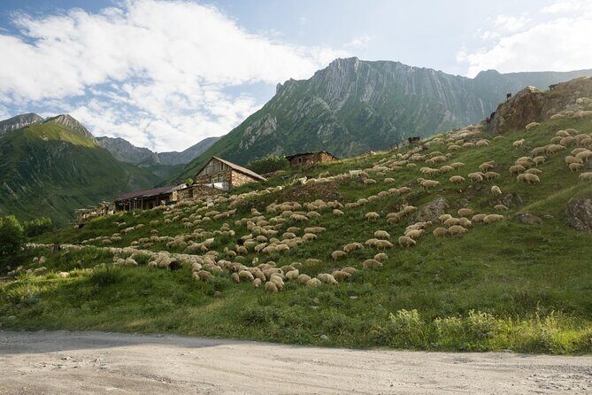 Kazbegi - One Day Private Trekking Tour to Truso Valley - FAQ