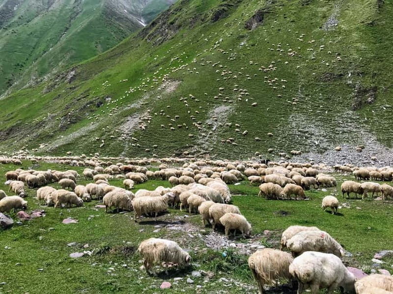 Kazbegi, Stepantsminda, and Gudauri Tour - Who Will Benefit Most?