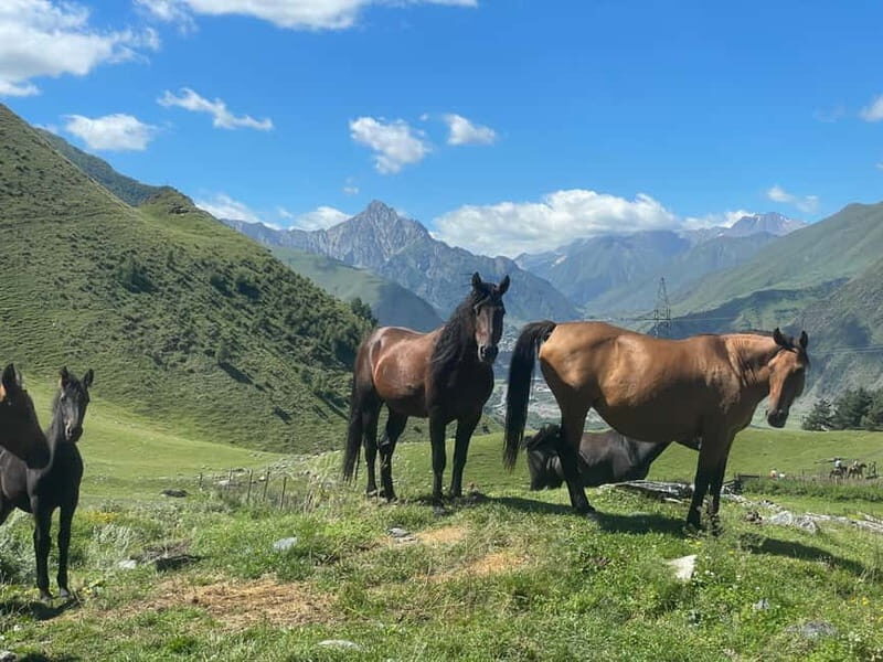 Kazbegi:Sunset Horse Riding Tour from Rooms Hotel Kazbegi - Final Thoughts