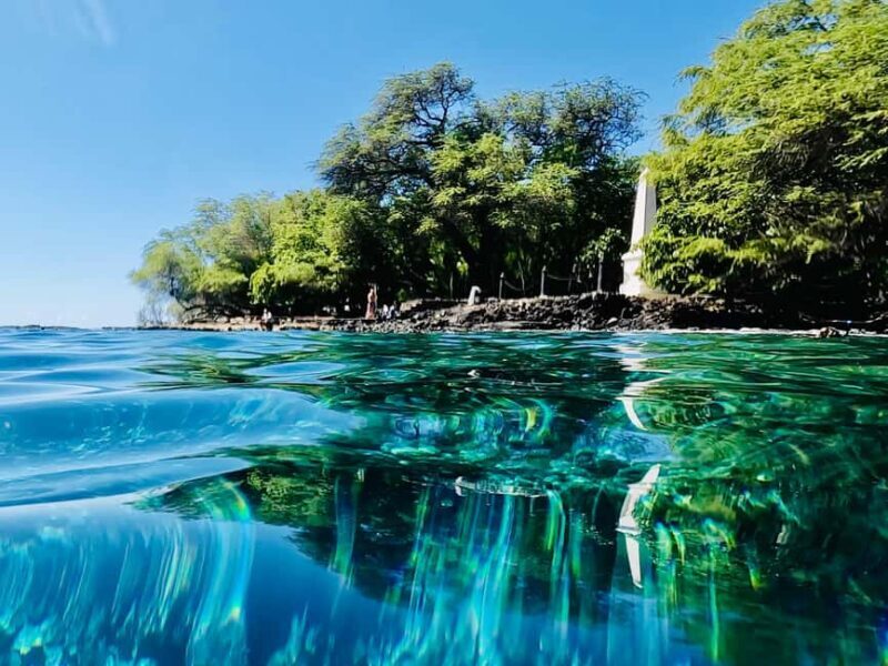 Kealakekua Bay Dolphin Watching, Snorkeling Boat Tour, BBQ - Who Will Love This Tour?