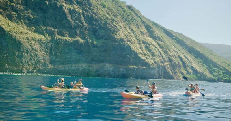 Kealakekua Bay: Guided Kayak & Snorkel Adventure - The Experience from a Traveller’s Perspective