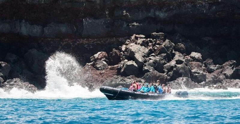Kealakekua Bay: Snorkel and Coastal Adventure with Lunch - A Detailed Look at the Experience