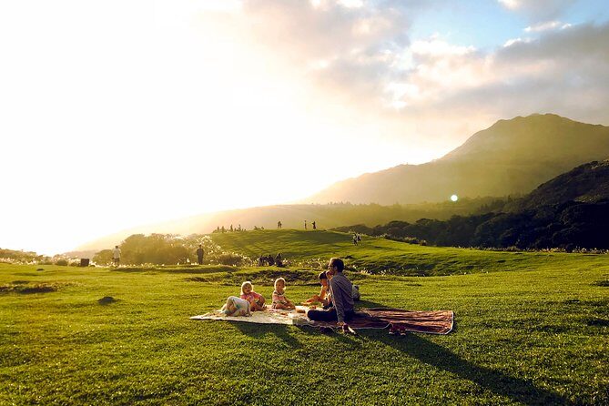 Keelung Shore Excursion: Yangmingshan Hot Spring and Wild Vegetable Cuisine Tour - Who Will Love This Tour?
