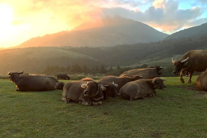 Keelung Shore Excursion: Yangmingshan Hot Spring and Wild Vegetable Cuisine Tour - Final Thoughts