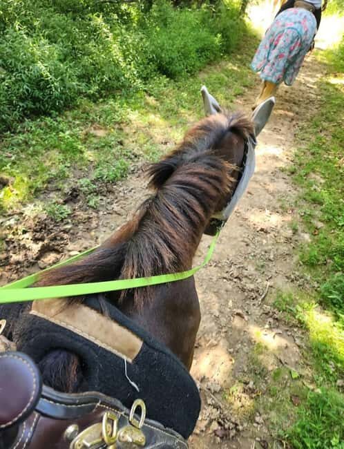 Keeneland: Horseback Riding Experience with Guide - Key Points