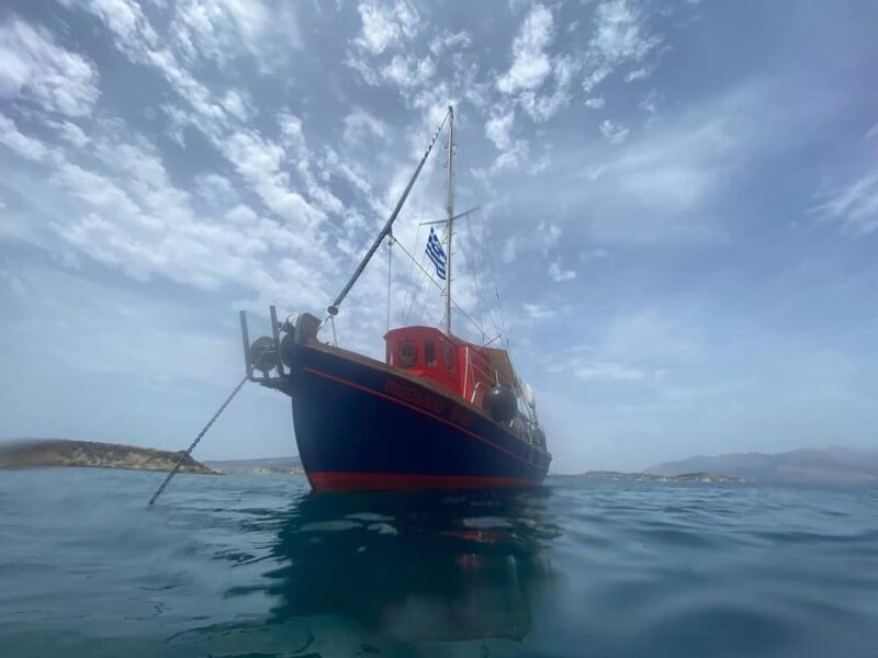 Kefalonia Fishing Tour: Tradition, Flavors & Turquoise Seas - Encountering Sea Turtles and Marine Life