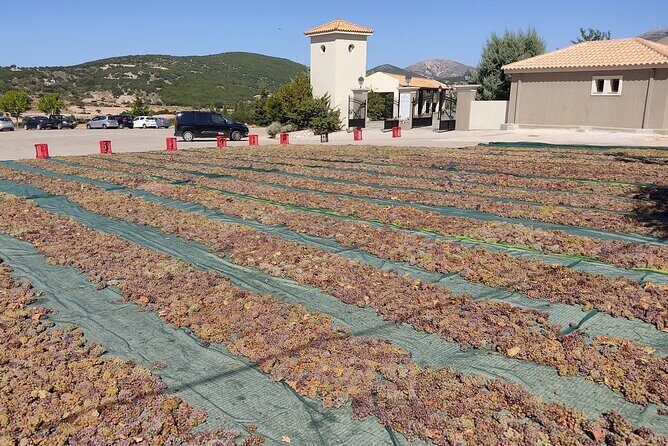 Kefalonia: Private Olive Oil, Honey & Wine Tasting Experience - Who Would Love This Tour?