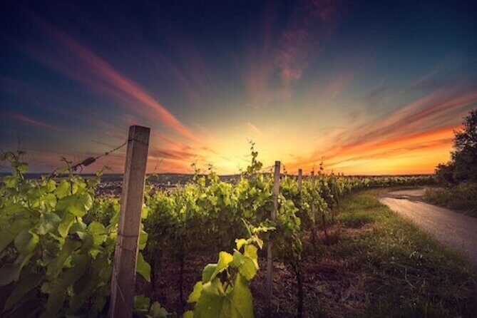 Kefalonia Private Wine Tour - Frequently Asked Questions