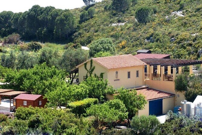 Kefalonia Private Wine Tour - Final Thoughts