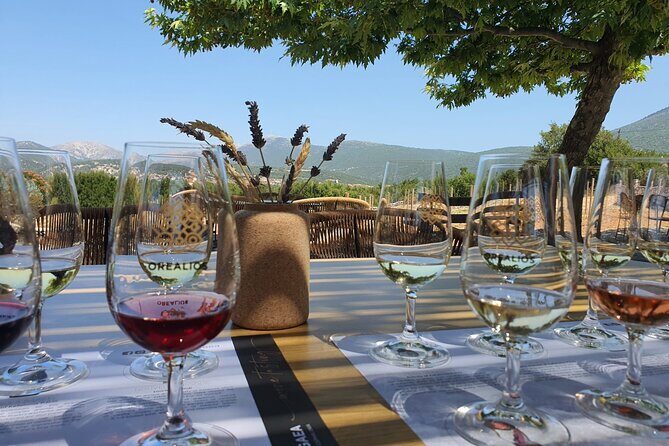 Kefalonia Wine Adventure in 3 Wineries With Tastings - In-Depth Review of the Kefalonia Wine Adventure