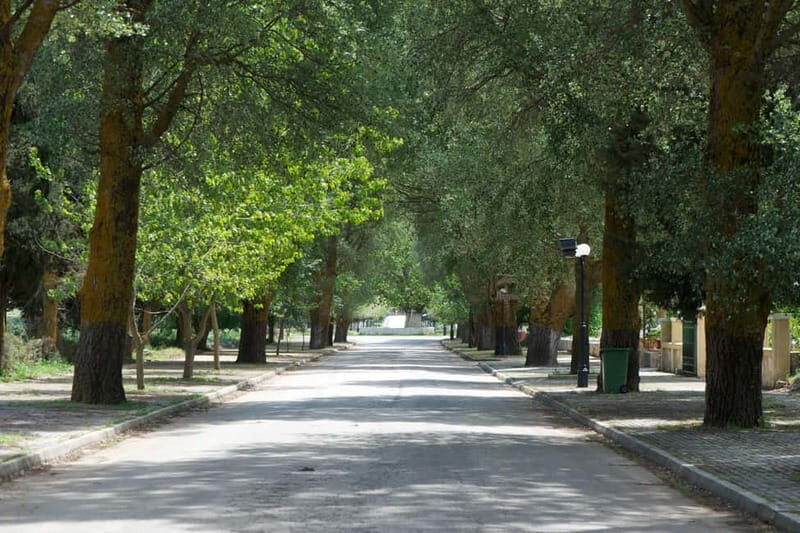 KEFALONIA: WINE TASTING TOUR - Transportation & Logistics