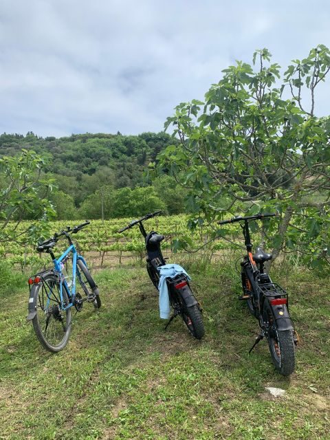Kefalonia Wine Tour on E-Bikes - Practical Details and Value
