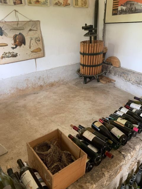 Kefalonia Wine Tour on E-Bikes - Who’s This Tour Best For?