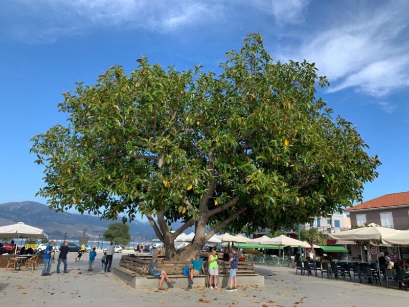 Kefalonia Wine Tour on E-Bikes - FAQ