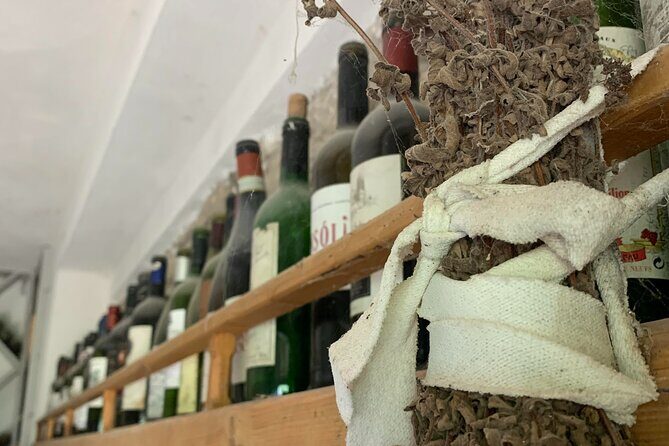 Kefalonia Wine Tour on E-Bikes - Final Thoughts: Is This Tour for You?