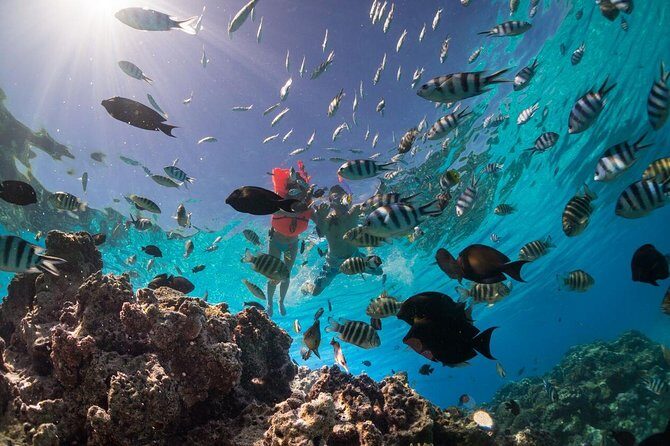 Keishi Tour Half Day Shared Excursion - A Closer Look at the Keishi Tour Half-Day Excursion in Bora Bora