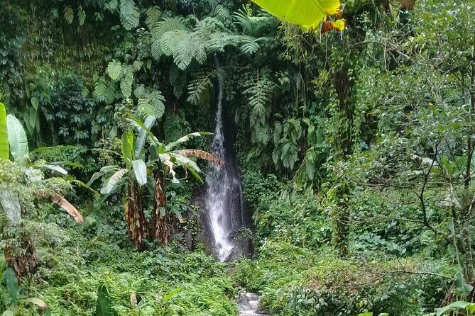 Keliki Village Tour And Rice Field Walk Including Lunch Or Dinner - What the Keliki Village Tour Offers