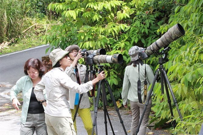 'Kelip Kelip' Fireflies Tour include Seafood Dinner & Boat Ride - Final Thoughts