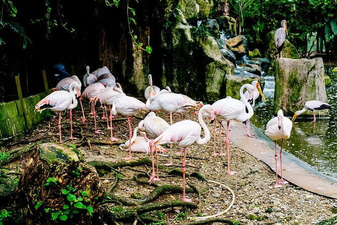 'Kelip Kelip' Fireflies Tour include Seafood Dinner & Boat Ride - Frequently Asked Questions
