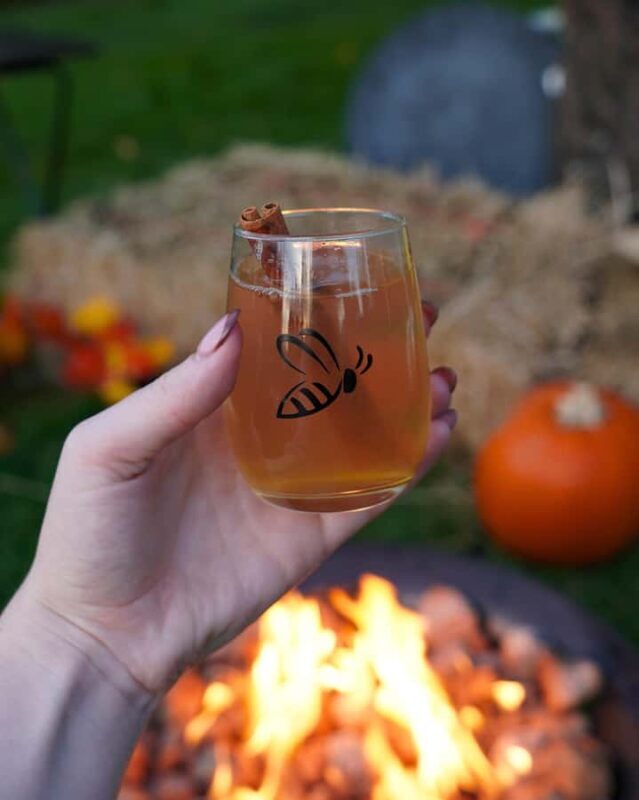 Kelowna Fireside Warm-Up: Wine Tasting, Smores & Mulled Wine - Authentic Reviews We Loved