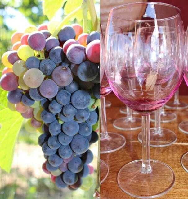 Kelowna: Myra Canyon Bike & Wine Tasting Full Day Tour - Afternoon Wine Tastings: Kelowna’s Top Wineries