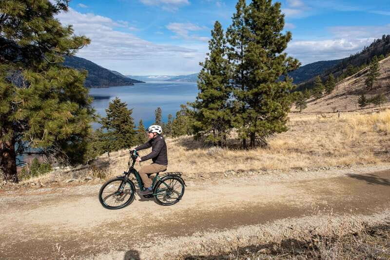 Kelowna: Okanagan Lake Guided E-Bike Tour with Picnic - Detailed Breakdown of the Experience